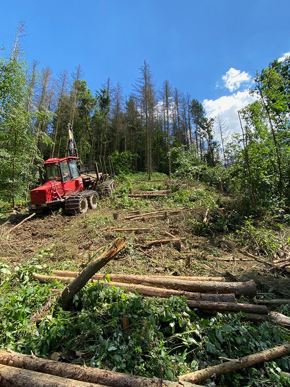 Holzrückung