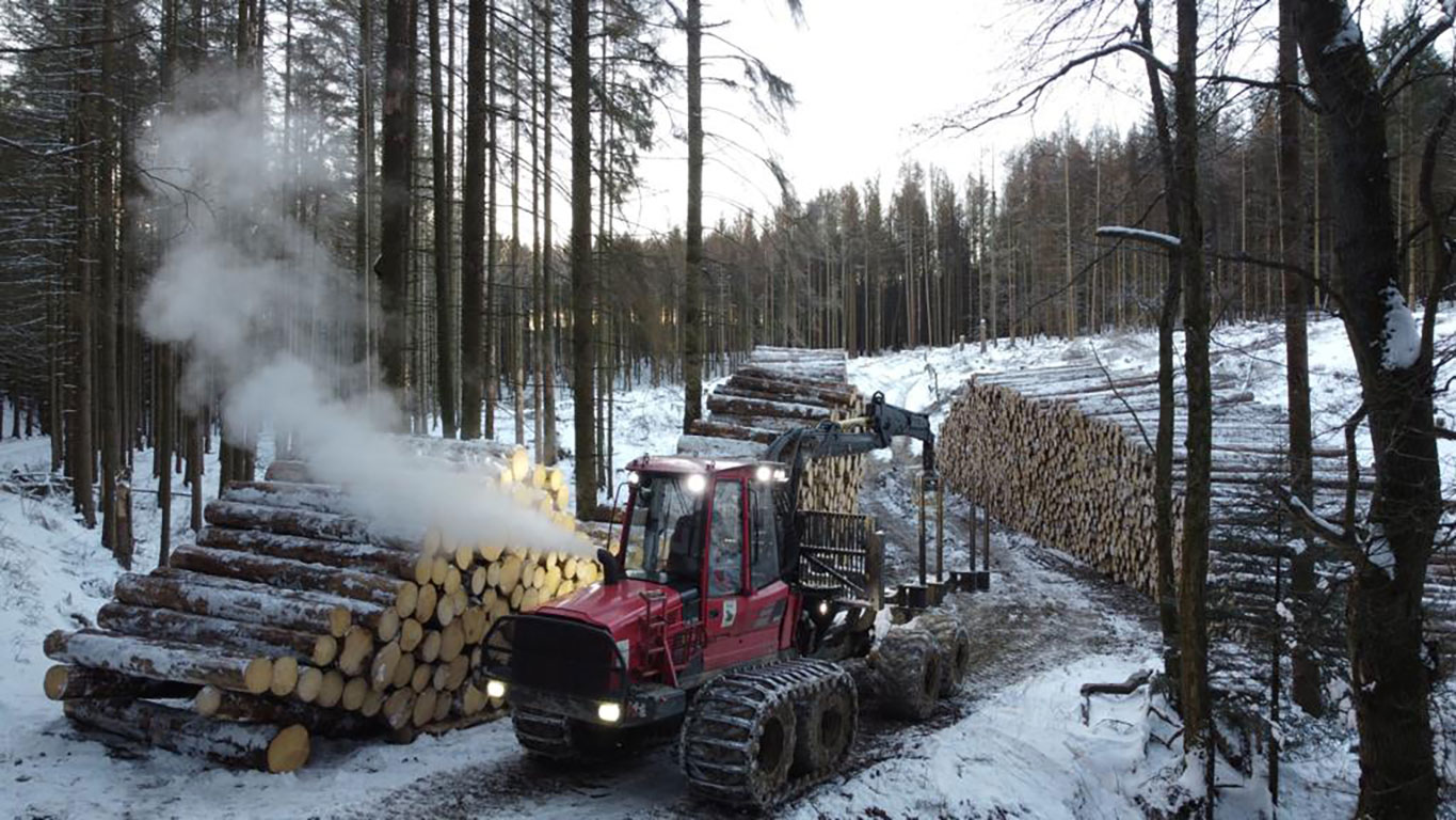 Holzrückung